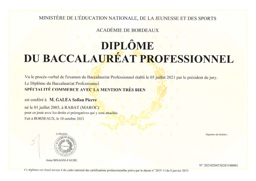 bac pro commerce